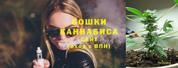 сатива Армянск