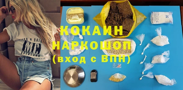 сатива Армянск