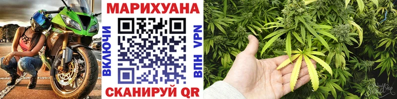 Бошки Шишки планчик  где купить наркоту  hydra ССЫЛКА  Звенигово 